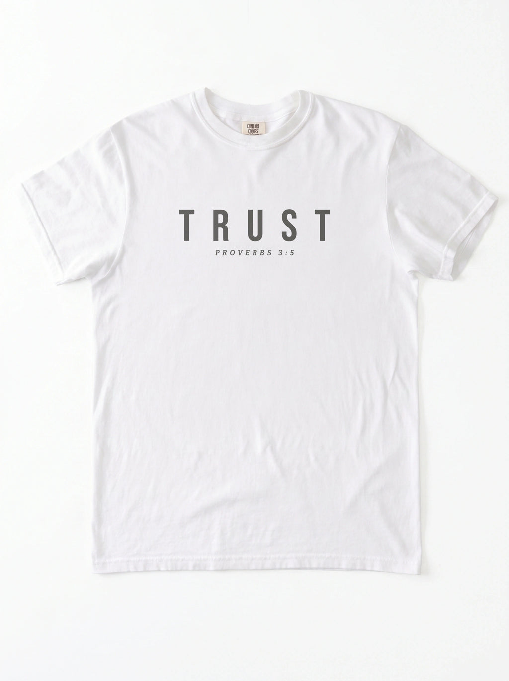 A white short-sleeve crewneck t-shirt with the word 'TRUST' printed in dark gray block letters on the chest, with 'PROVERBS 3:5' printed underneath in smaller text.