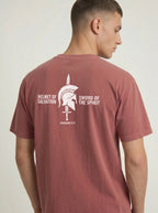 A man wearing a dusty rose short-sleeve t-shirt, viewed from the back. The shirt features a white graphic print of a Spartan helmet and sword with the text 'HELMET OF SALVATION' and 'SWORD OF THE SPIRIT' and 'EPHESIANS 6:17' printed below.